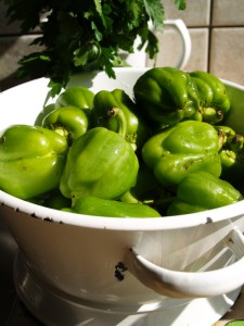 Paprika