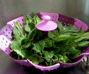 salat sauerrampfer joseph joseph